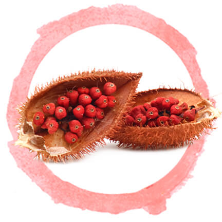 Annatto seeds