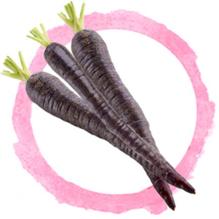 black carrot