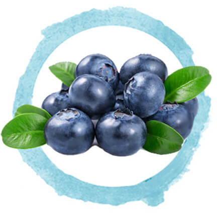 blueberries