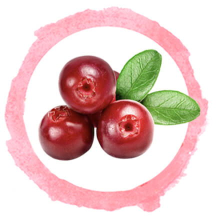 cranberries