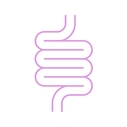 stomach icon intestine