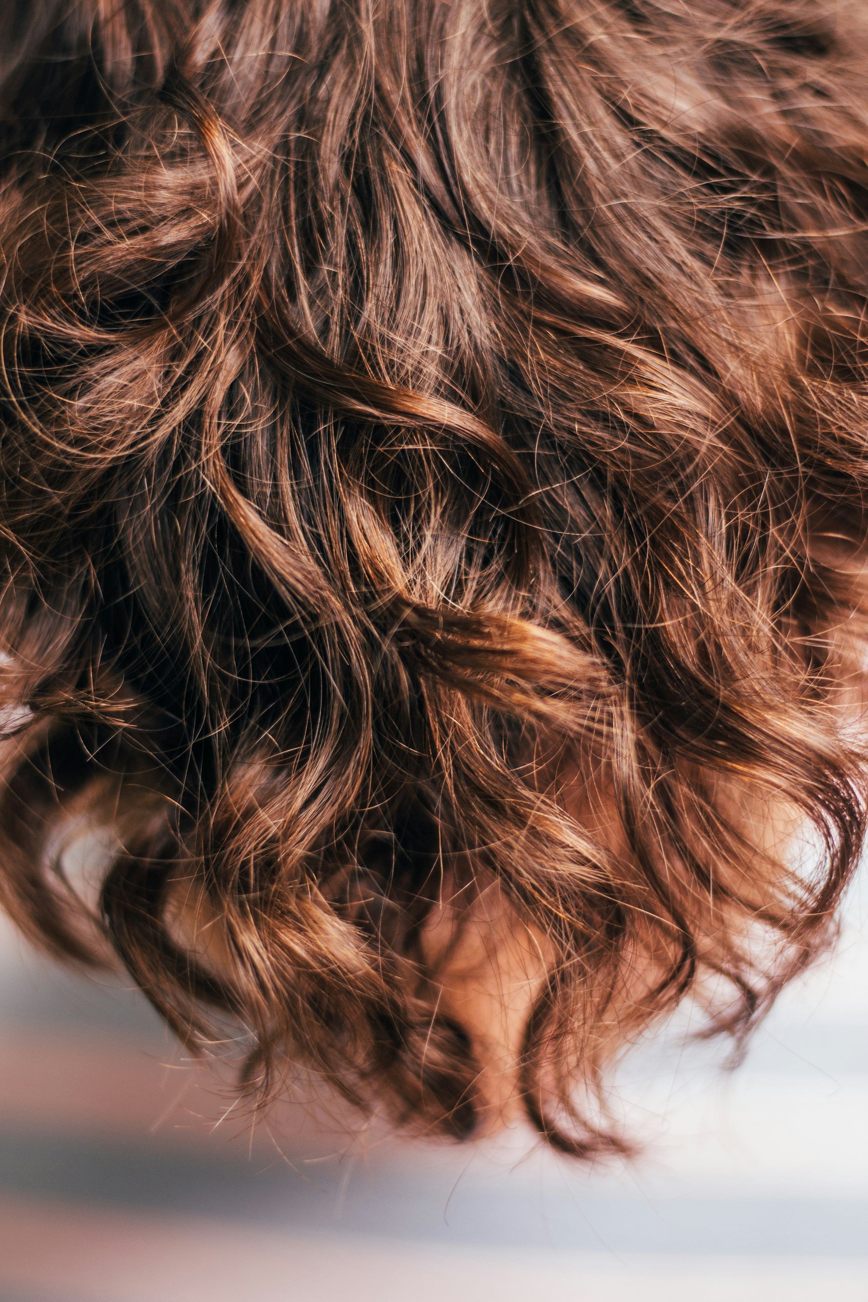 Hair Vitamins: Do They Work? What You Need to Know