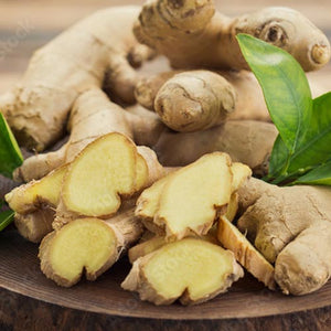 Ginger