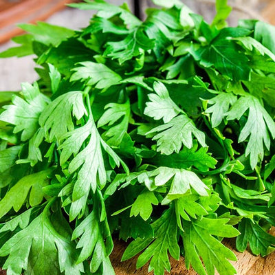 Parsley