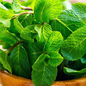 Peppermint