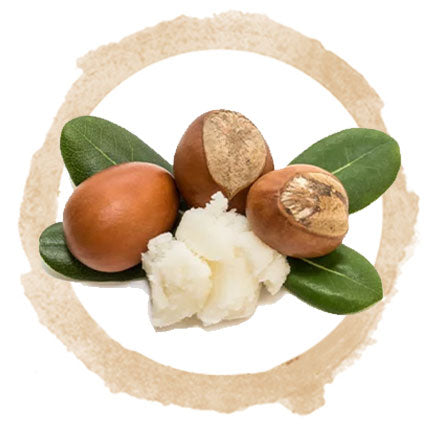 Shea butter, nuts and leaves