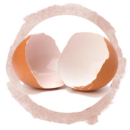 cracked eggshell