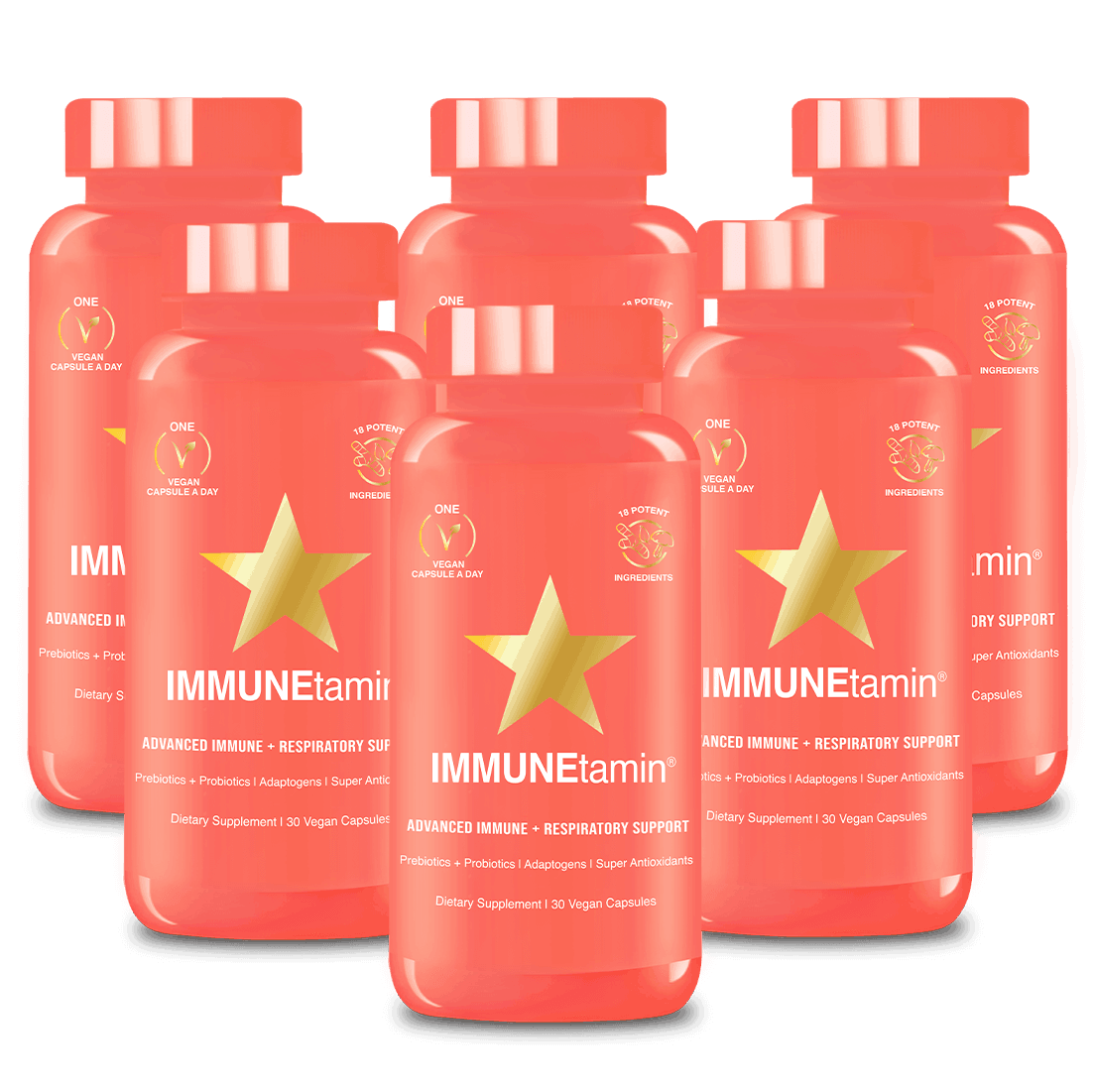6 Month Supply - 6 IMMUNEtamin Bottles