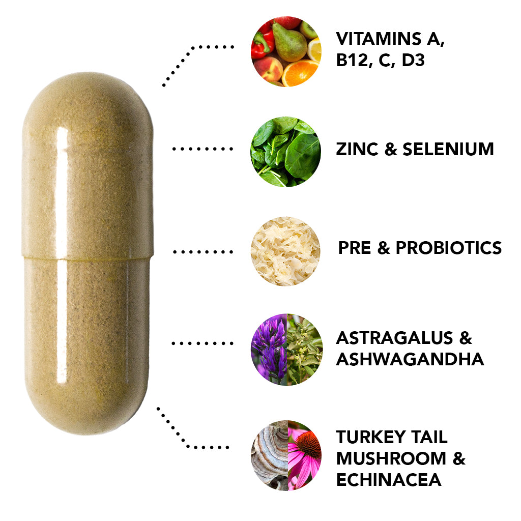IMMUNEtamin ingredients including Vitamins A, B12, C, D3, Zinc & Selenium, Pre & Probiotics, Astragalus & Ashwagandha, Turkey Tail Mushroom & Echinacea